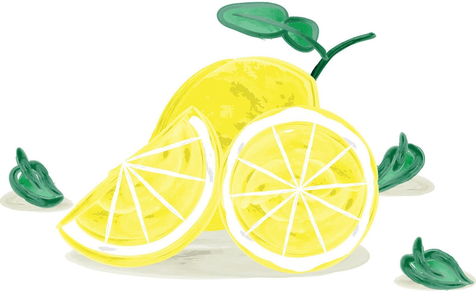 Hand Drawing Watercolor Illustration of Sliced Lemon Fruit. vector