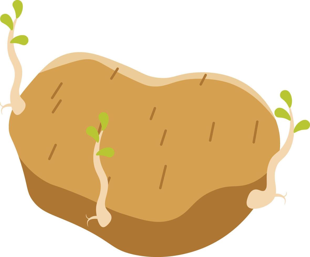 The Beauty of Decay vector