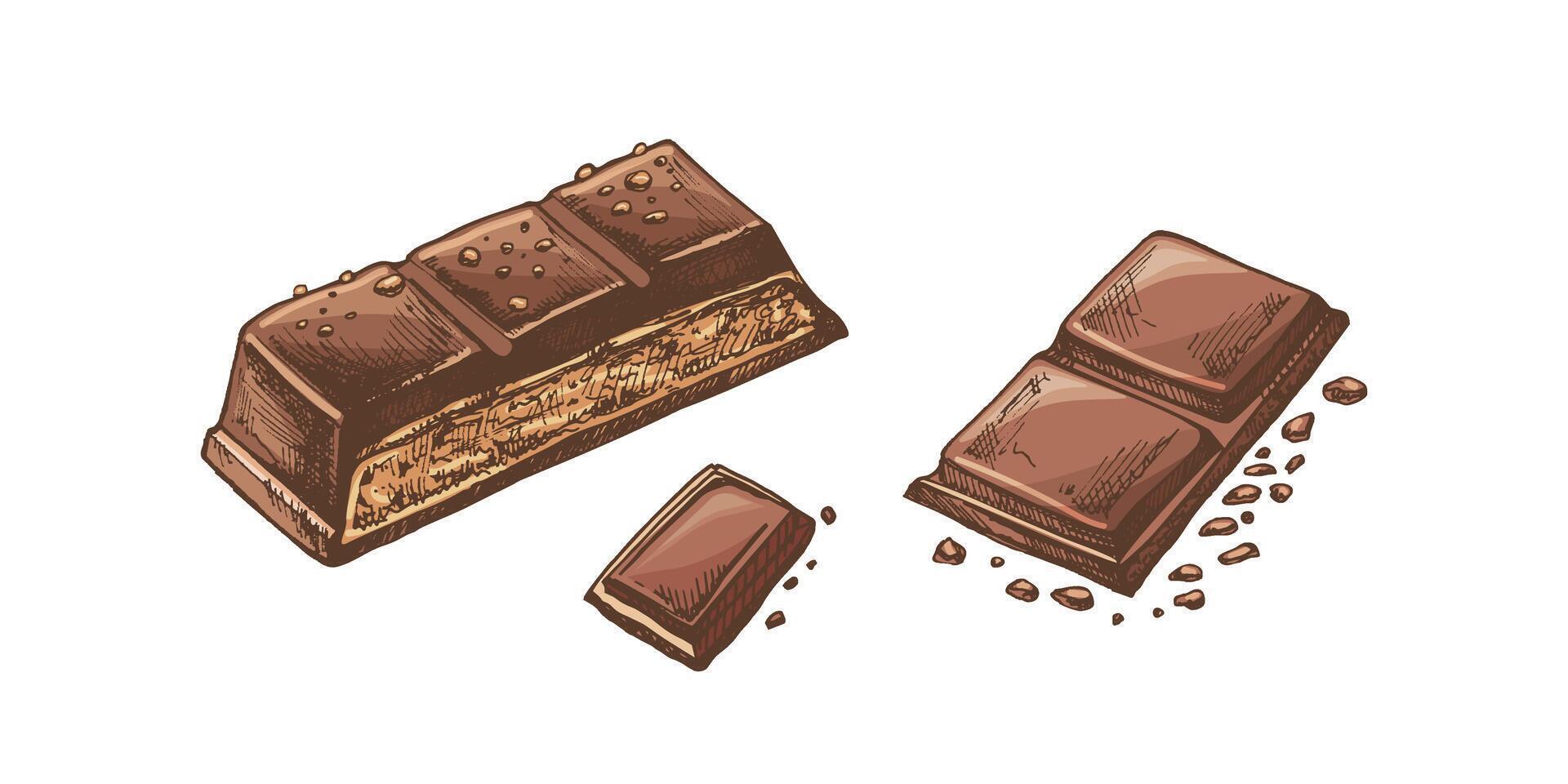 Hand-drawn chocolate bars with artistic and detailed design colored illustrations vector