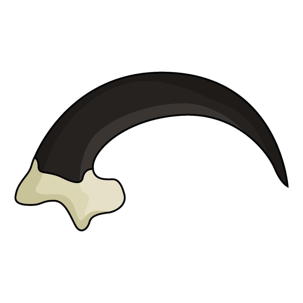 illustration of Bald eagle talon vector