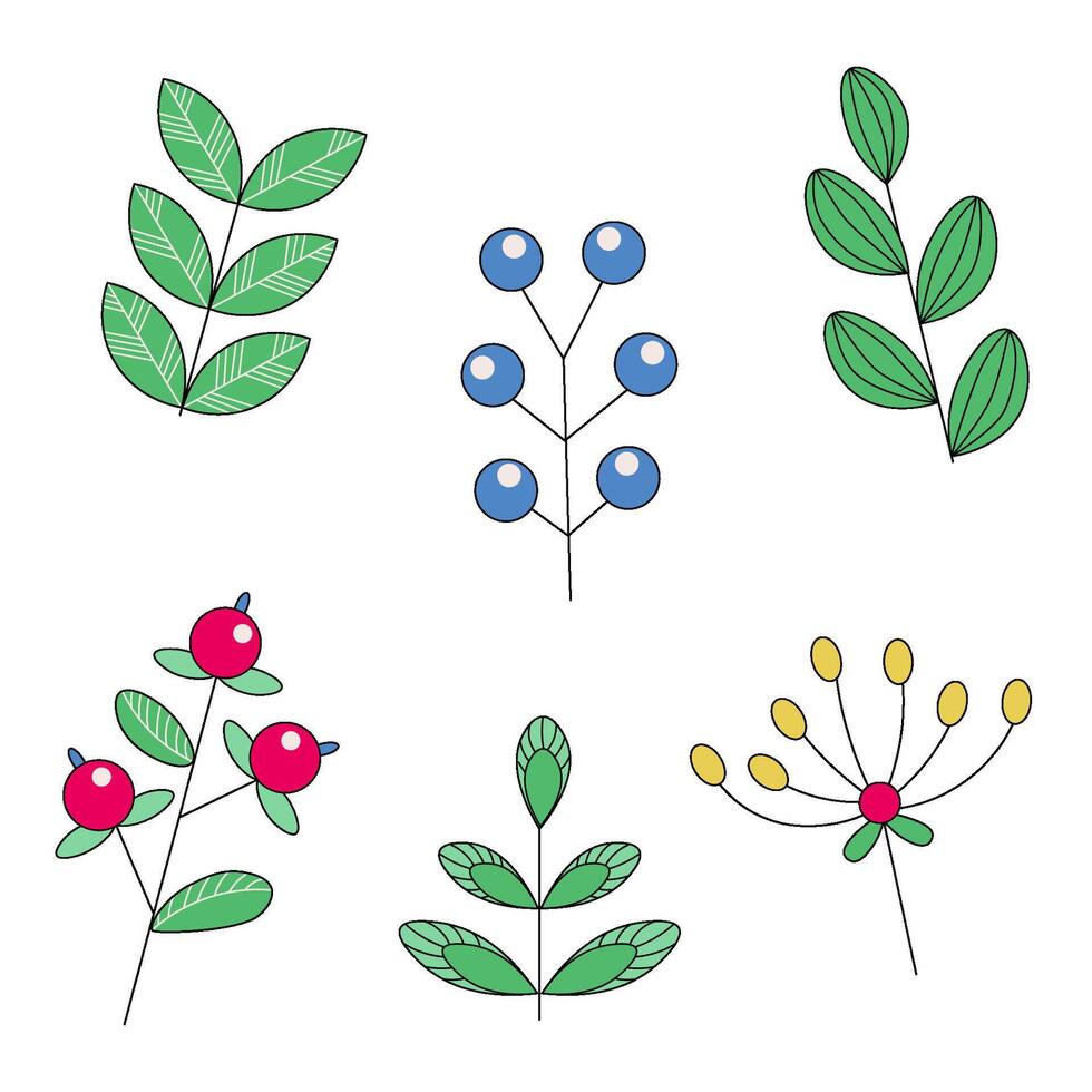 A set of isolated elements, wild berries and leaves in doodle style vector
