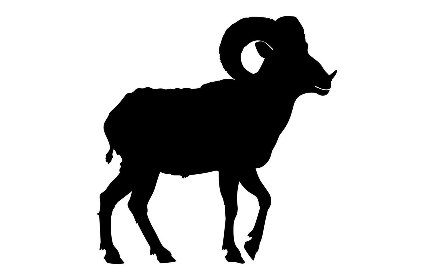 Bighorn Sheep Clipart isolated on a white background vector