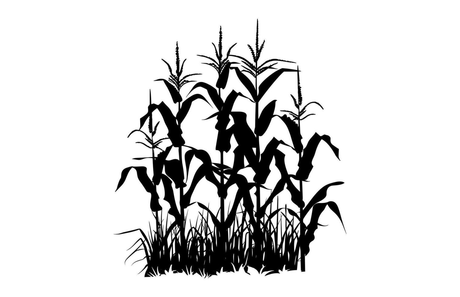 Corn Stalk Clipart Silhouette vector
