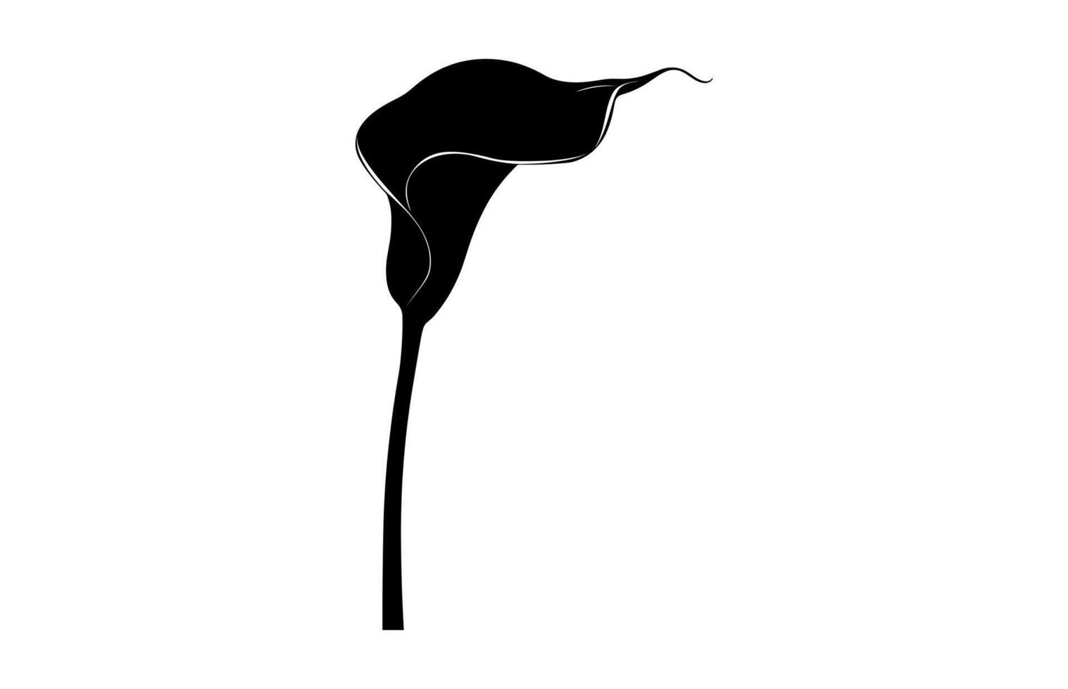Calla Lily Black Silhouette vector
