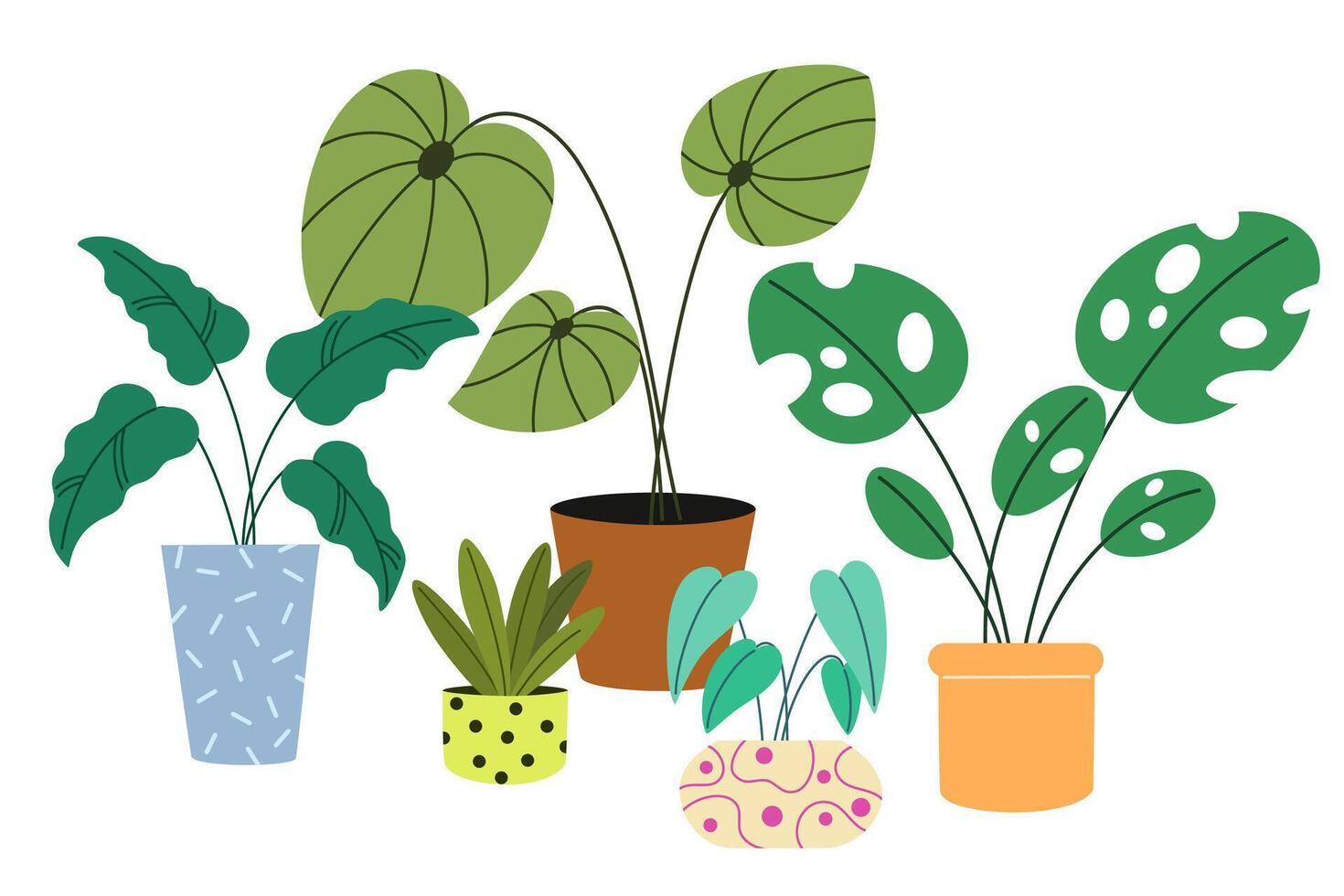 Potted house plants composition. Home and office interior houseplants. Modern green leaf, succulent, cactus decoration in planters, flowerpots. Flat illustration isolated on white background vector
