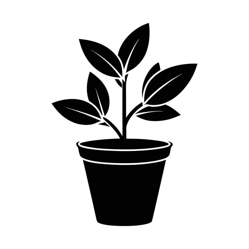 plant in a pot icon vector