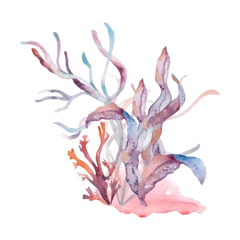 Drawing with underwater nature with seaweeds and coral reef on watercolor splash. Marine plants monochrome illustration painted in gradient of pink to blue. Bright abstract sea flora composition. vector