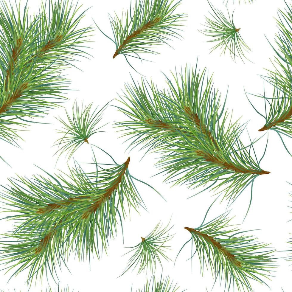 Pine branches on seamless watercolor pattern isolated on white. Christmas botanical endless background. Christmas tree branches for wrapping paper, fabric, wallpapers, and seasonal package. vector