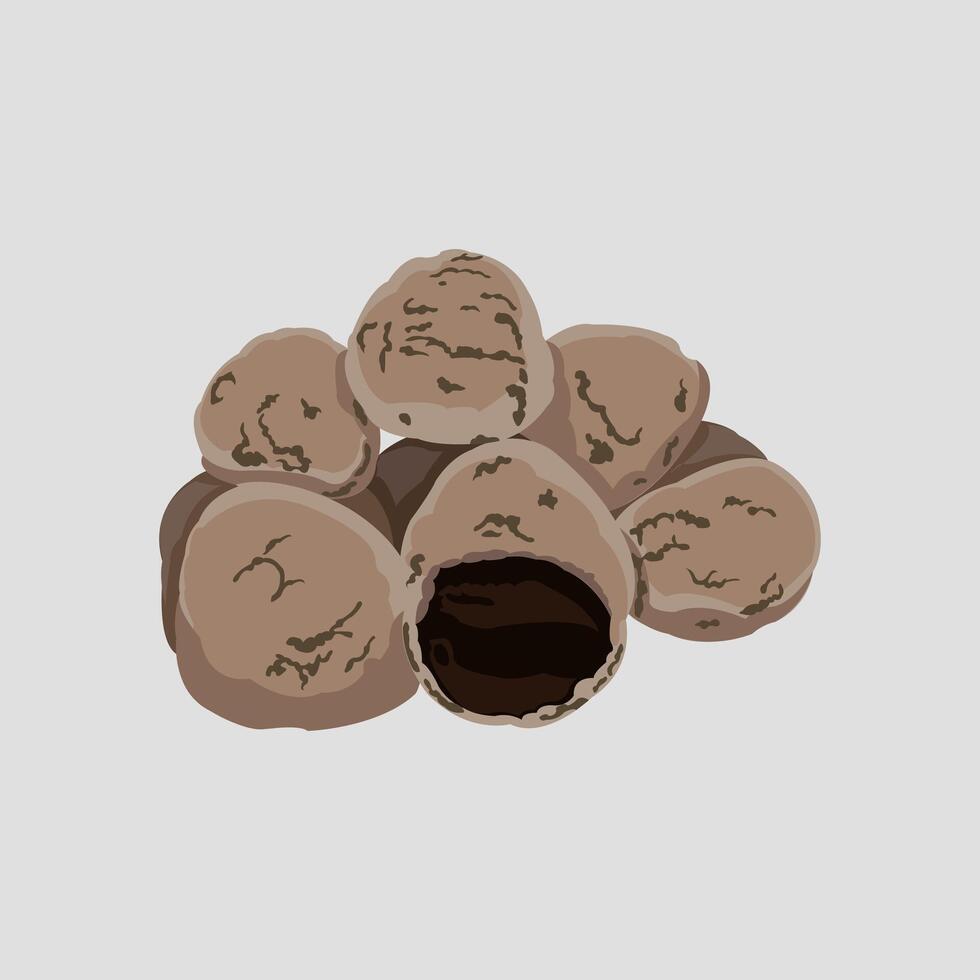 Editable illustration of kluwek on a grey background vector