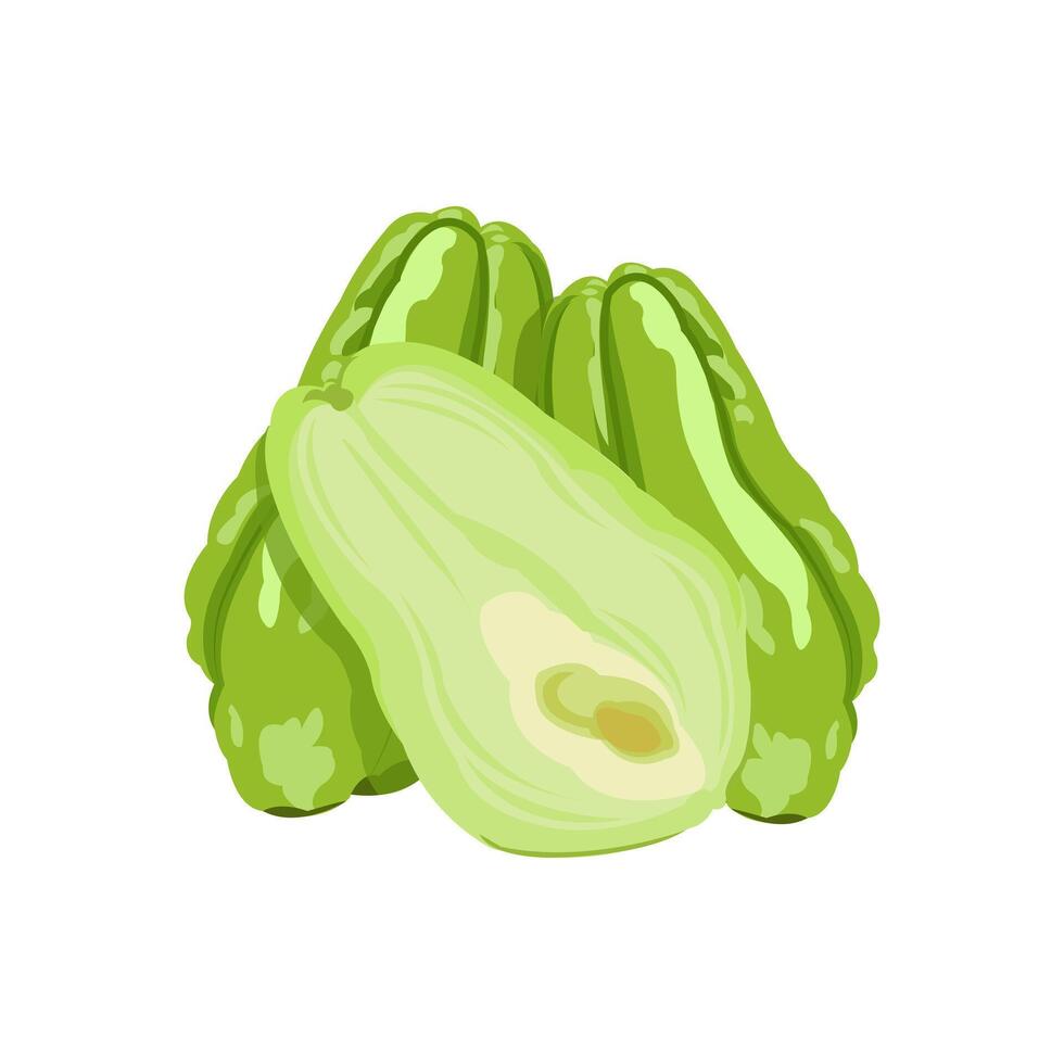 Editable illustration of pumpkin for vegetable ingredients vector