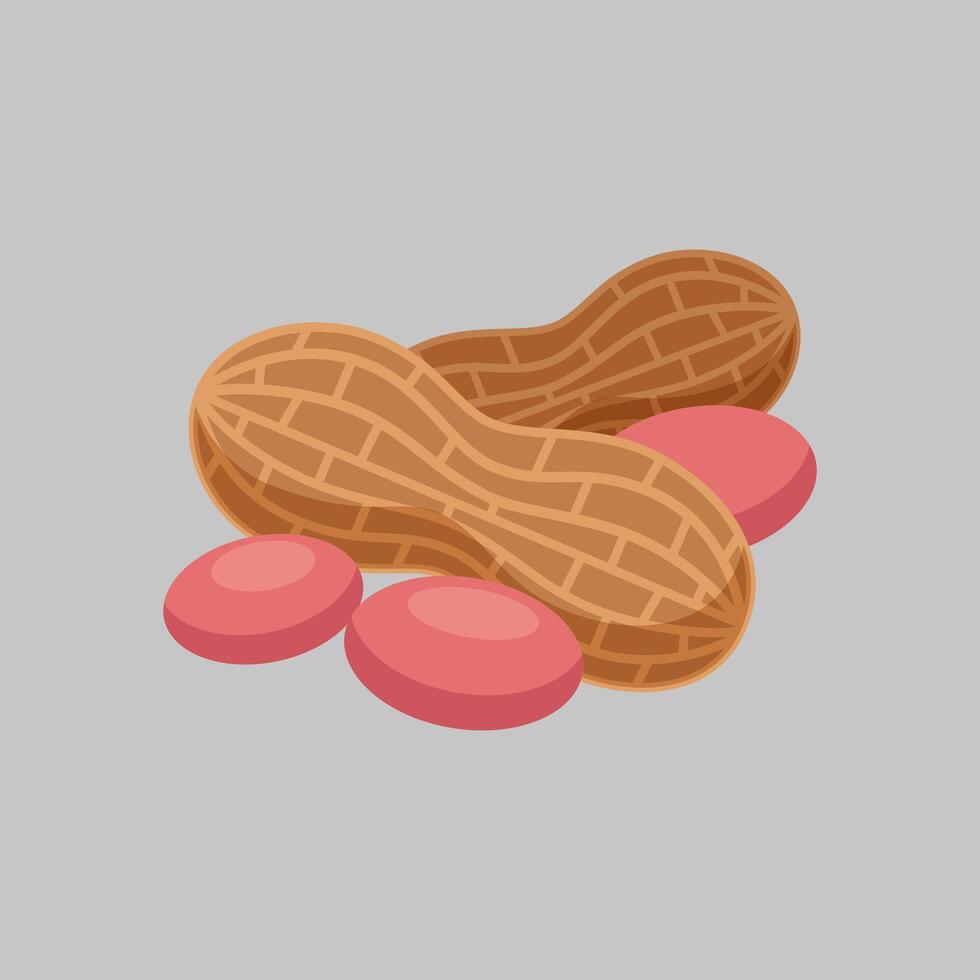Editable illustration of peanuts on a gray background vector