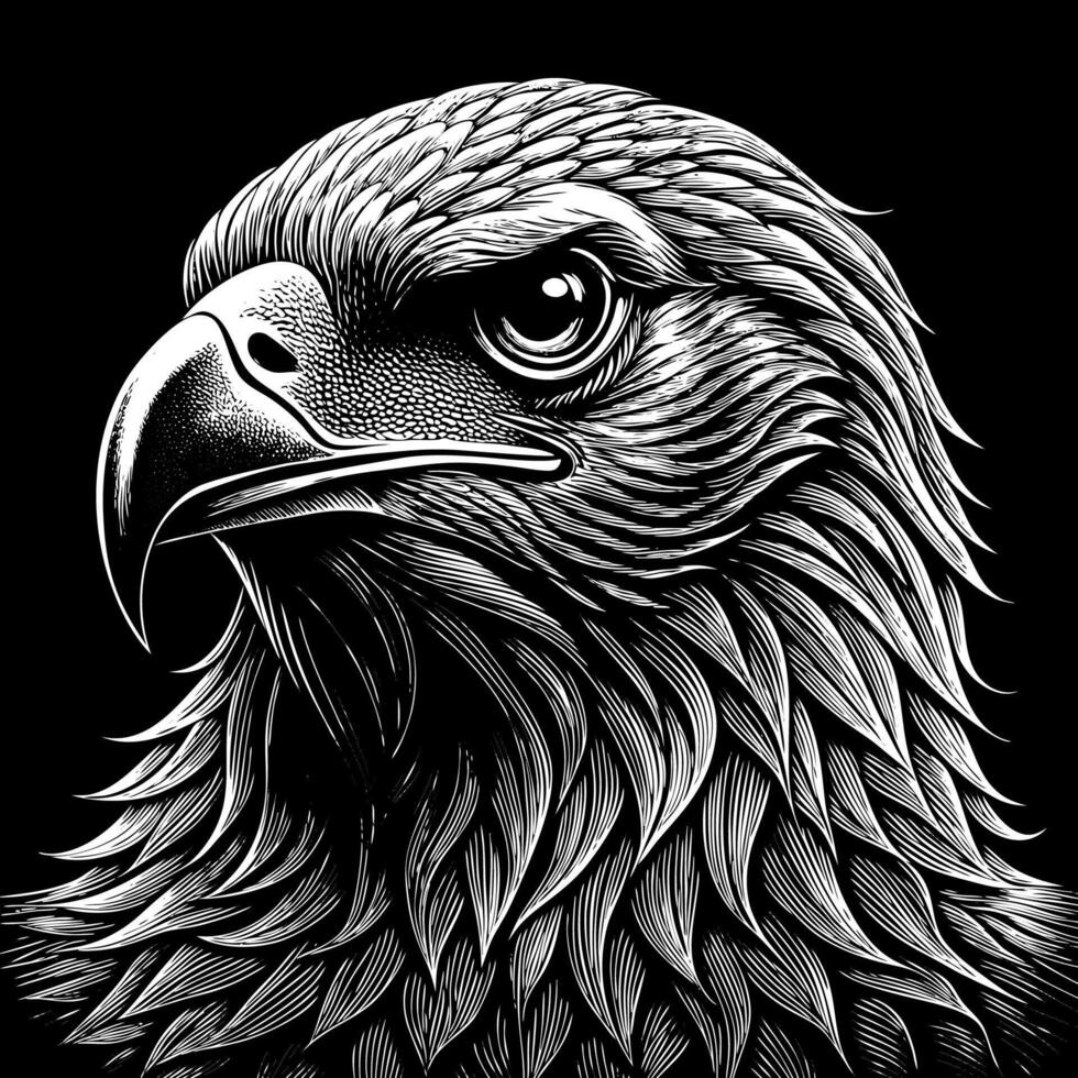 Majestic Eagle Portrait with Detailed Feathers in Black and White Style vector