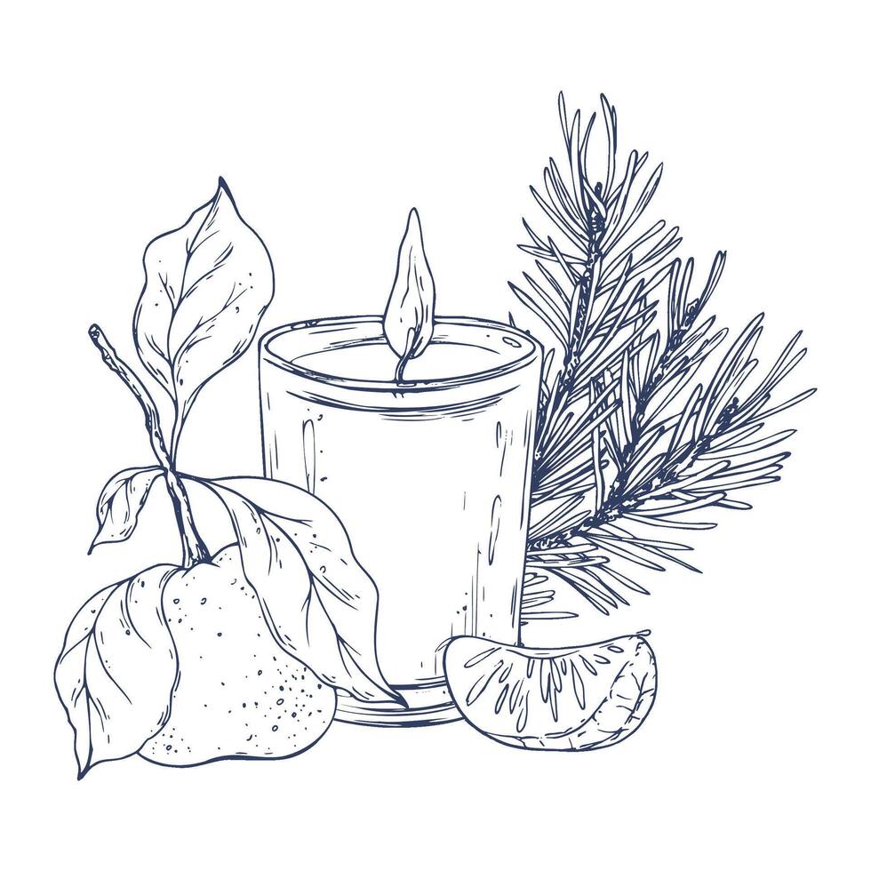 Burning candle in a glass jar with tangerines and a pine branch. Graphic illustration hand drawn in black ink. Composition, sublimation, arrangement EPS . vector