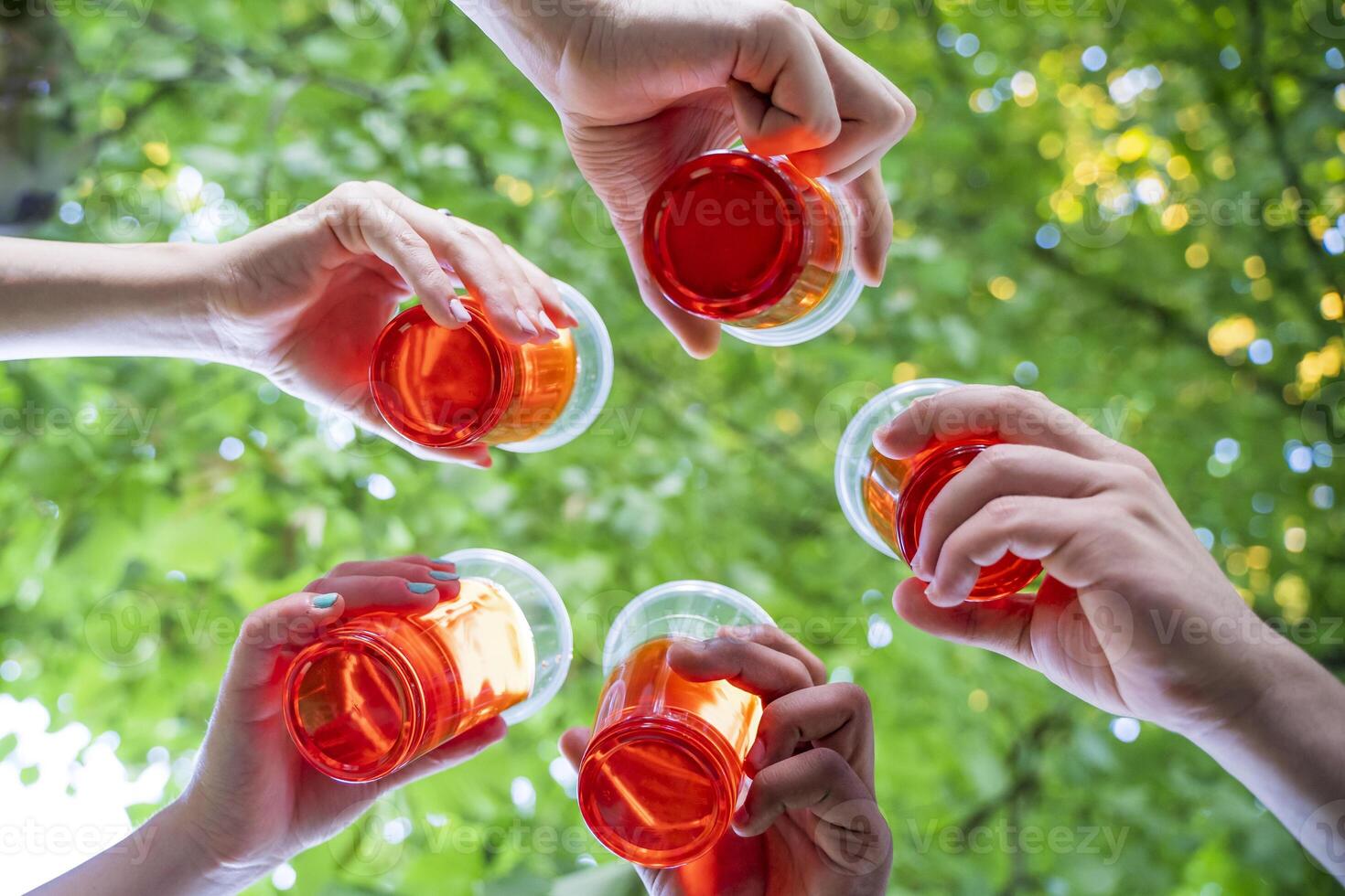 multiethnic group of millennial friends toasting celebrating a birthday photo