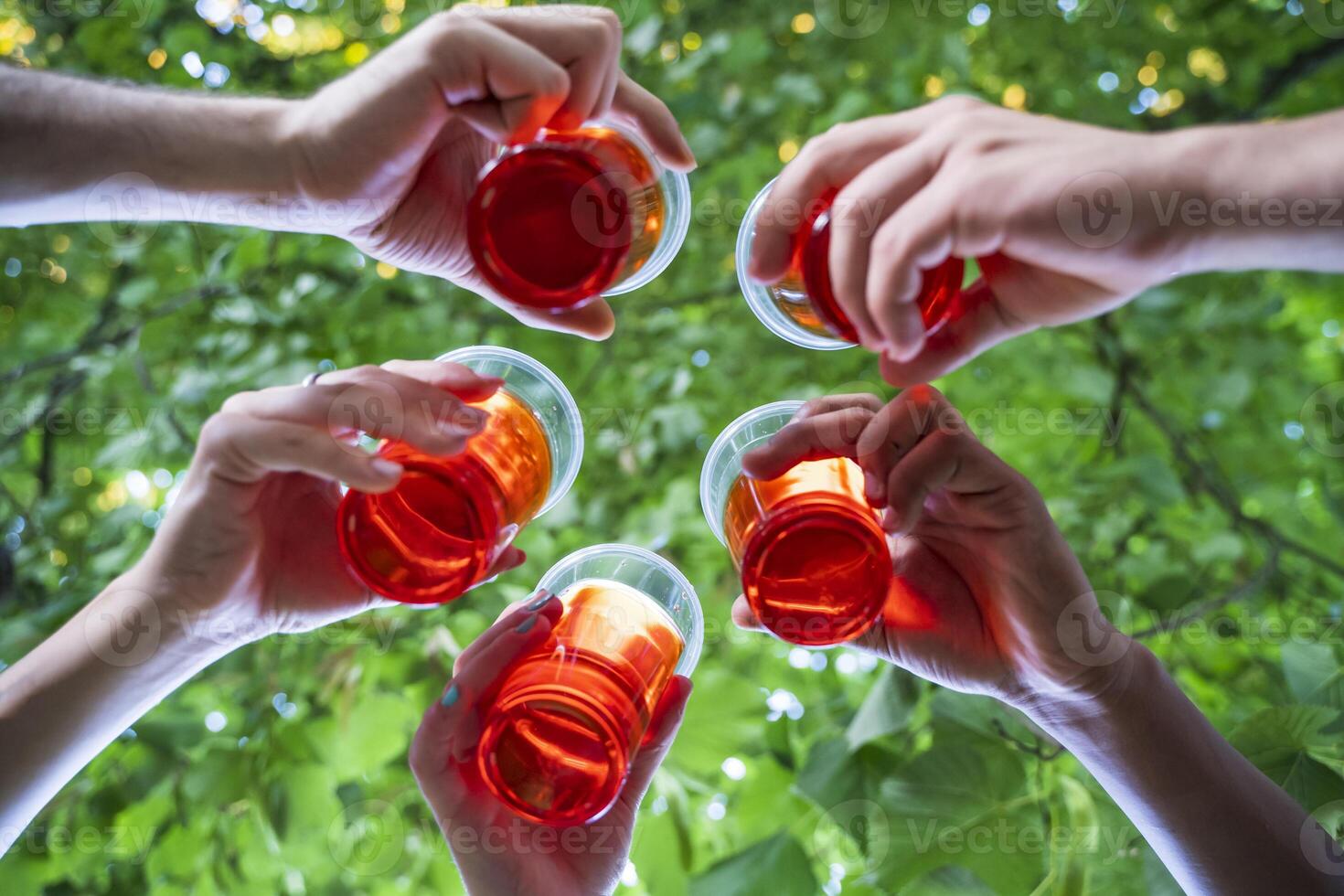 multiethnic group of millennial friends toasting celebrating a birthday photo