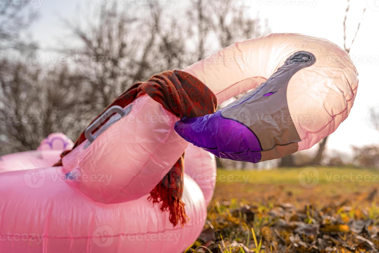 an inflatable life preserver in the shape of a pink flamingo with a red scarf around its neck among fallen leaves on a meadow in autumn photo