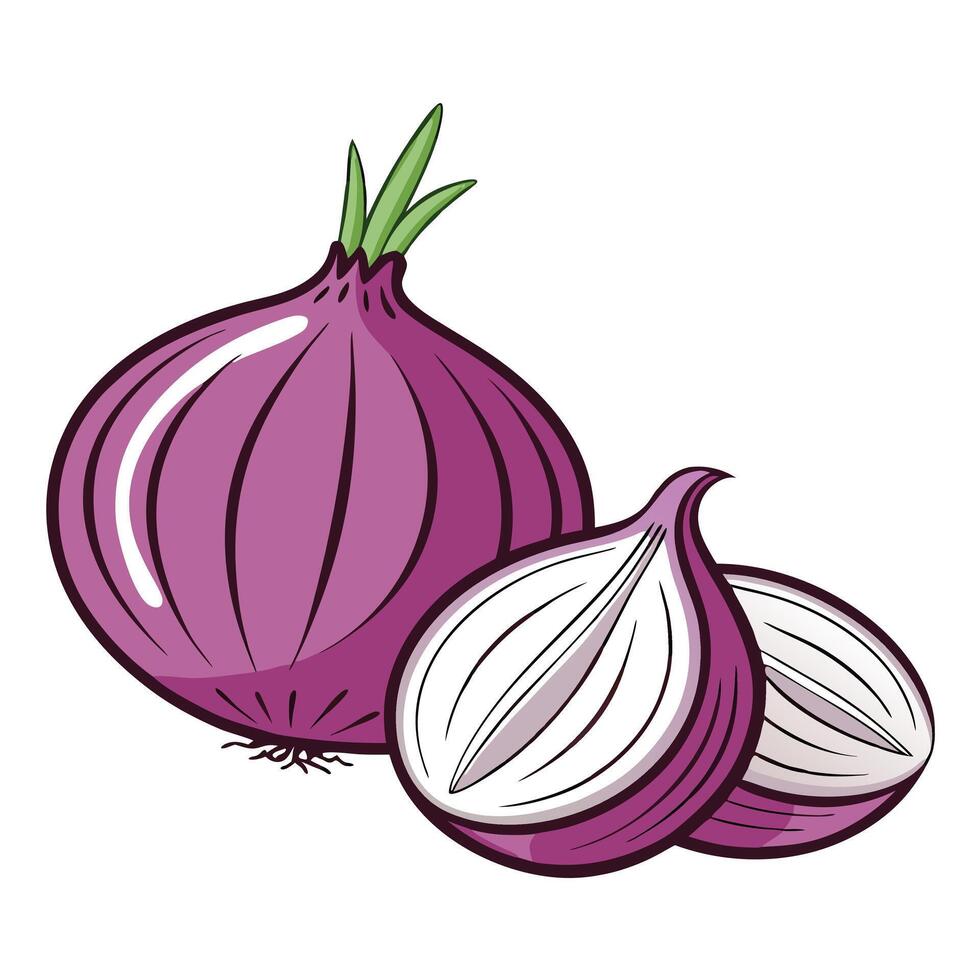 An onion and a half onion are shown on a white background vector