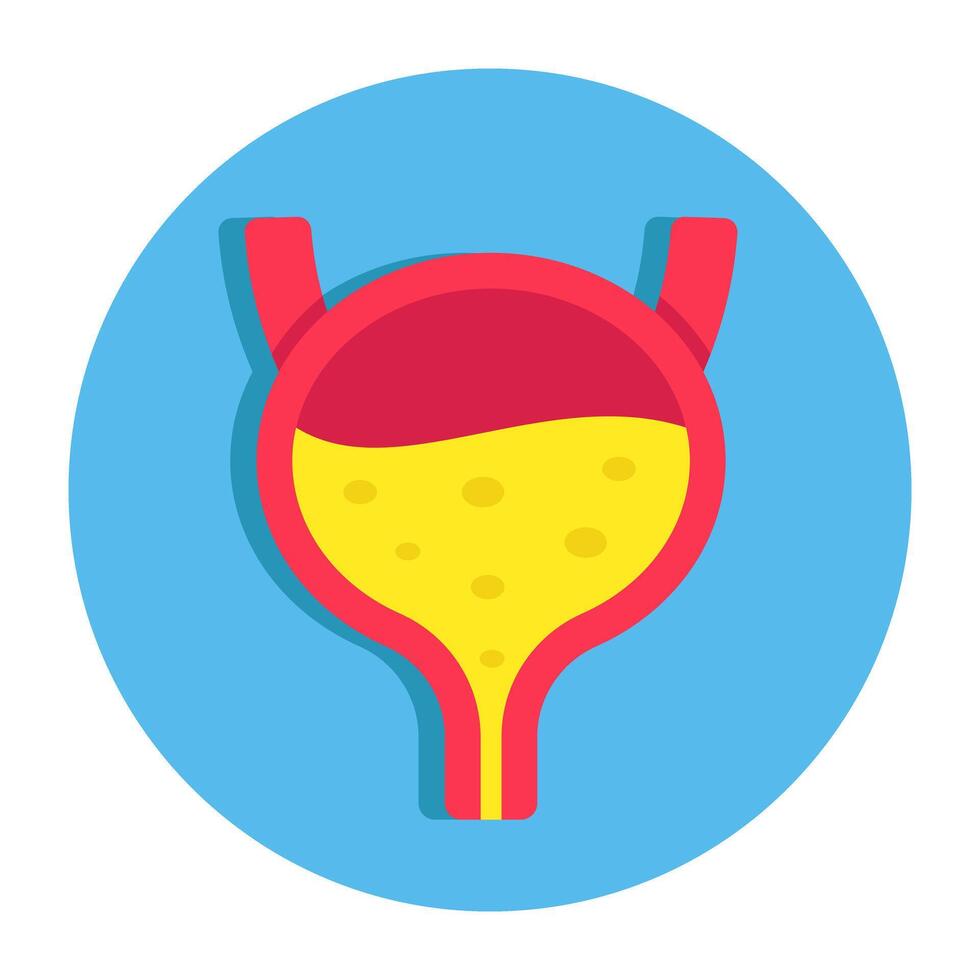 Conceptual flat design icon of bladder vector