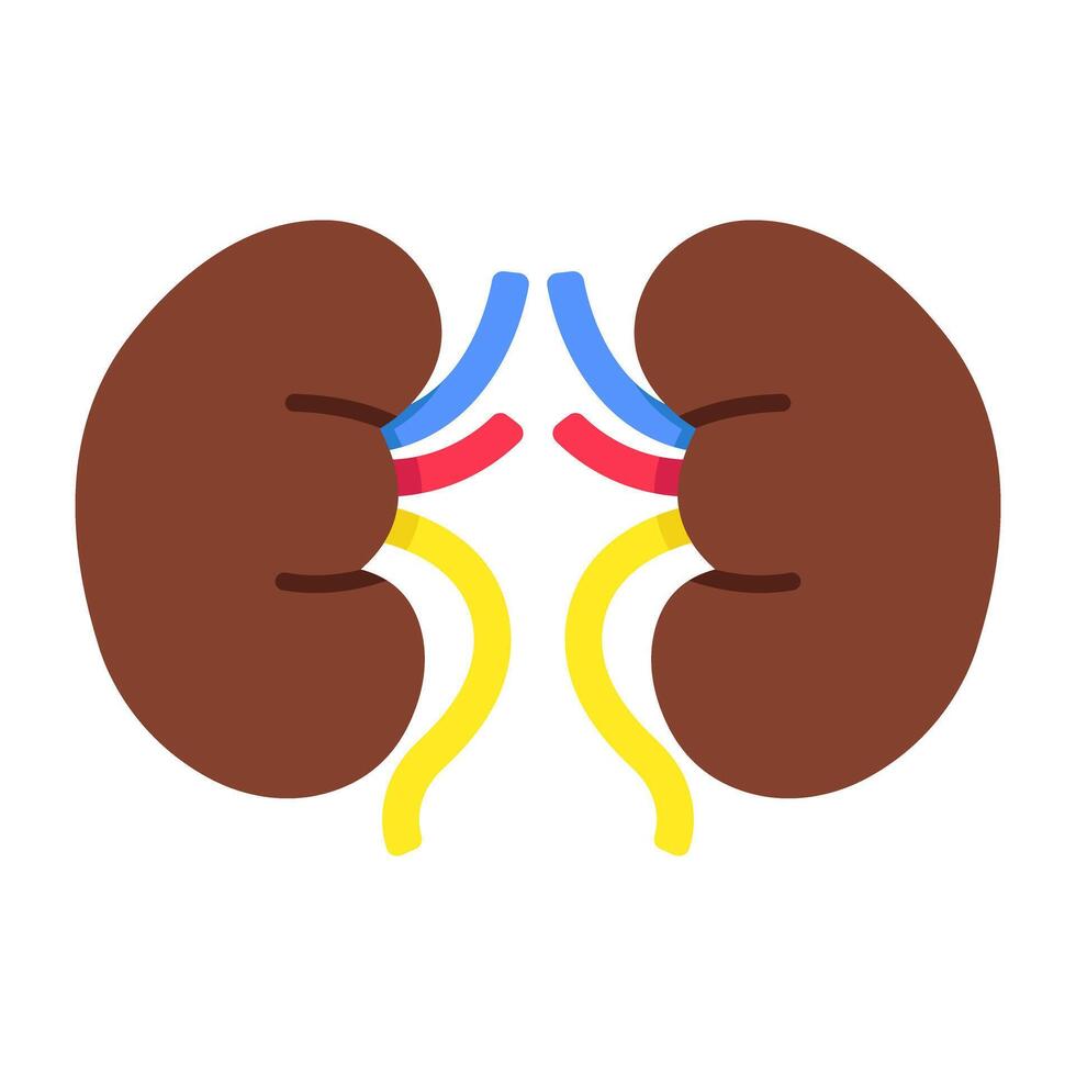 Premium download icon of kidneys vector