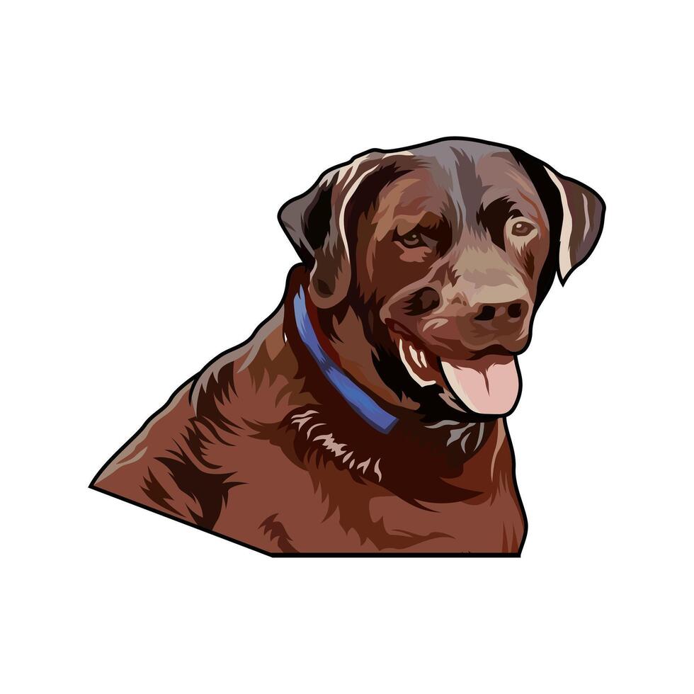 chesapeake bay retriever dark brown with tongue out hunting logo illustration image vector