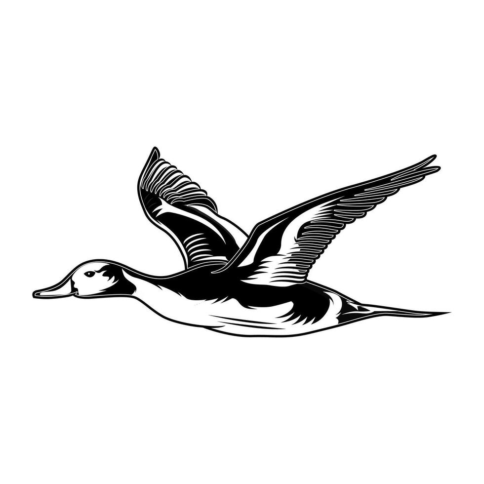 pintail duck flying in the sky seen from the side hunting logo illustration vector