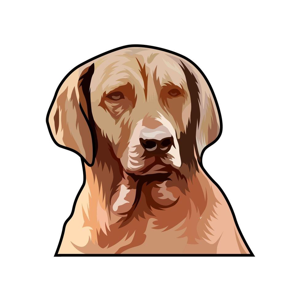 chesapeake bay retriever light brown looking forward hunting logo illustration image vector