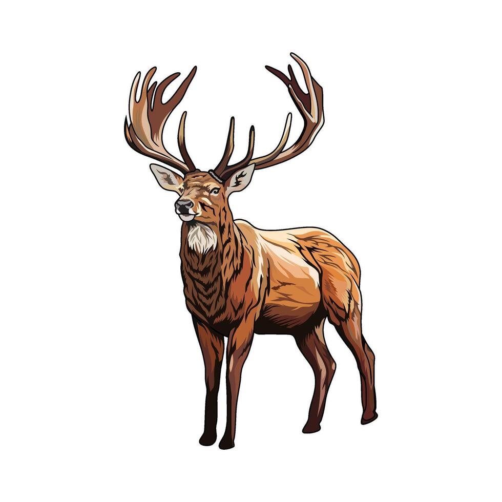 white tail deer standing seen from the left side full color hunting logo illustration vector