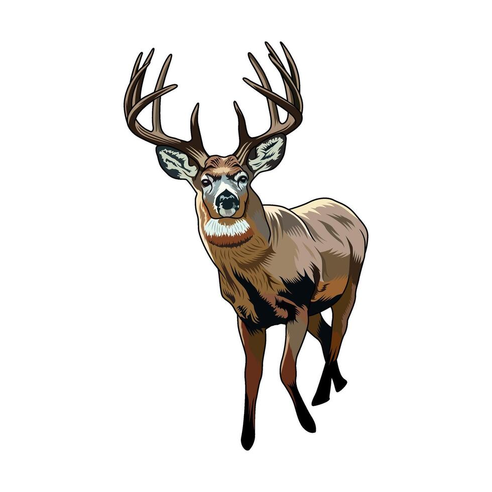 deer standing facing forward full color hunting logo illustration vector
