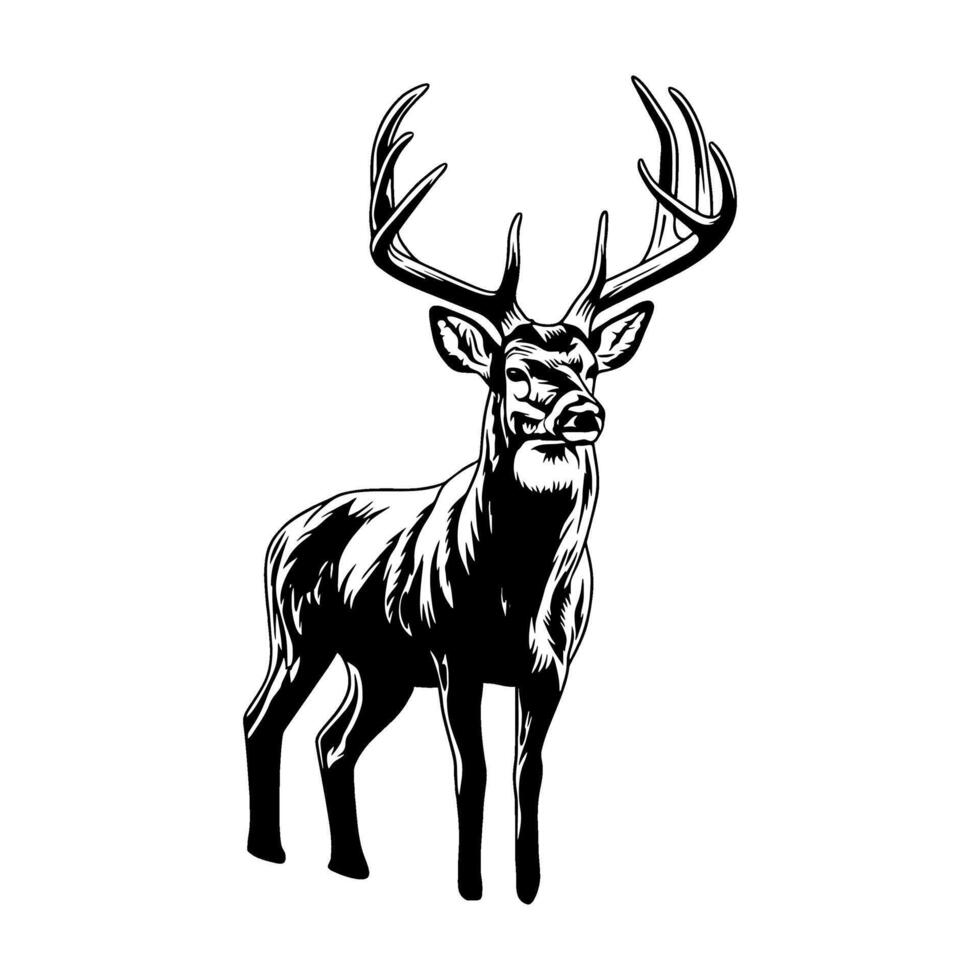 deer standing looking around black and white hunting logo illustration vector