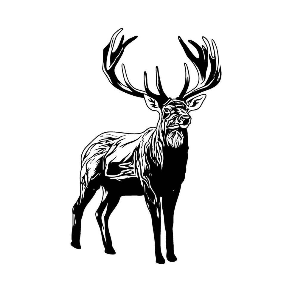 white tail deer standing seen from the left side black and white hunting logo illustration vector