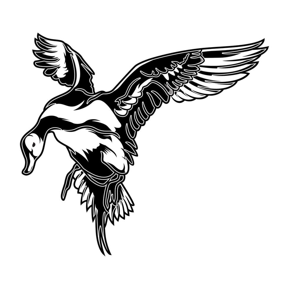 pintail duck looking down about to land hunting logo illustration vector