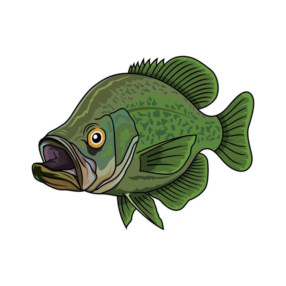 crappie fish full color fishing logo illustration image vector