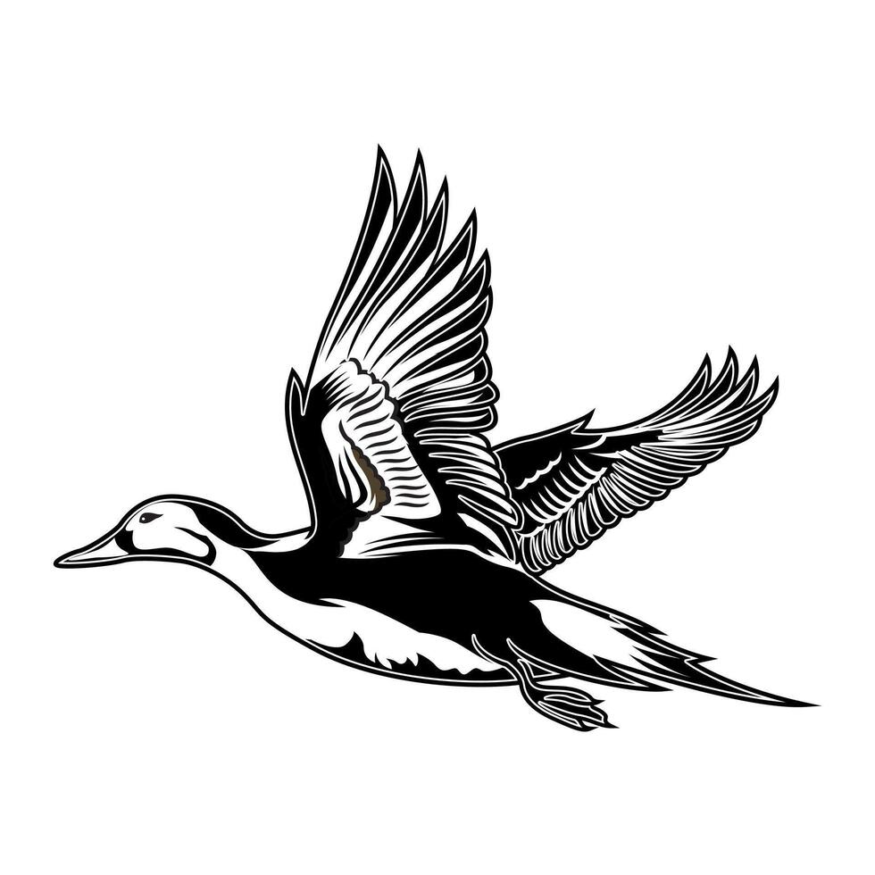 pintail duck is flying and has just taken off hunting logo illustration vector