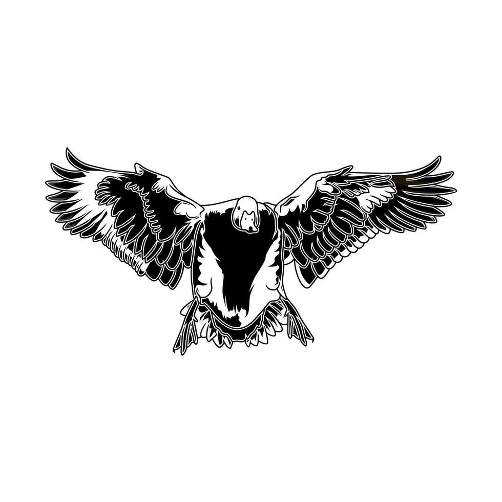 pintail duck landing after flying seen from the front hunting logo illustration vector