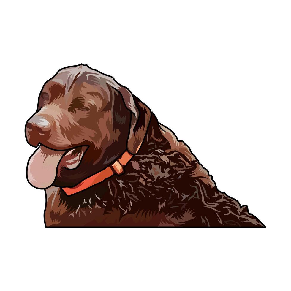 chesapeake bay retriever brown curly hunting logo illustration image vector