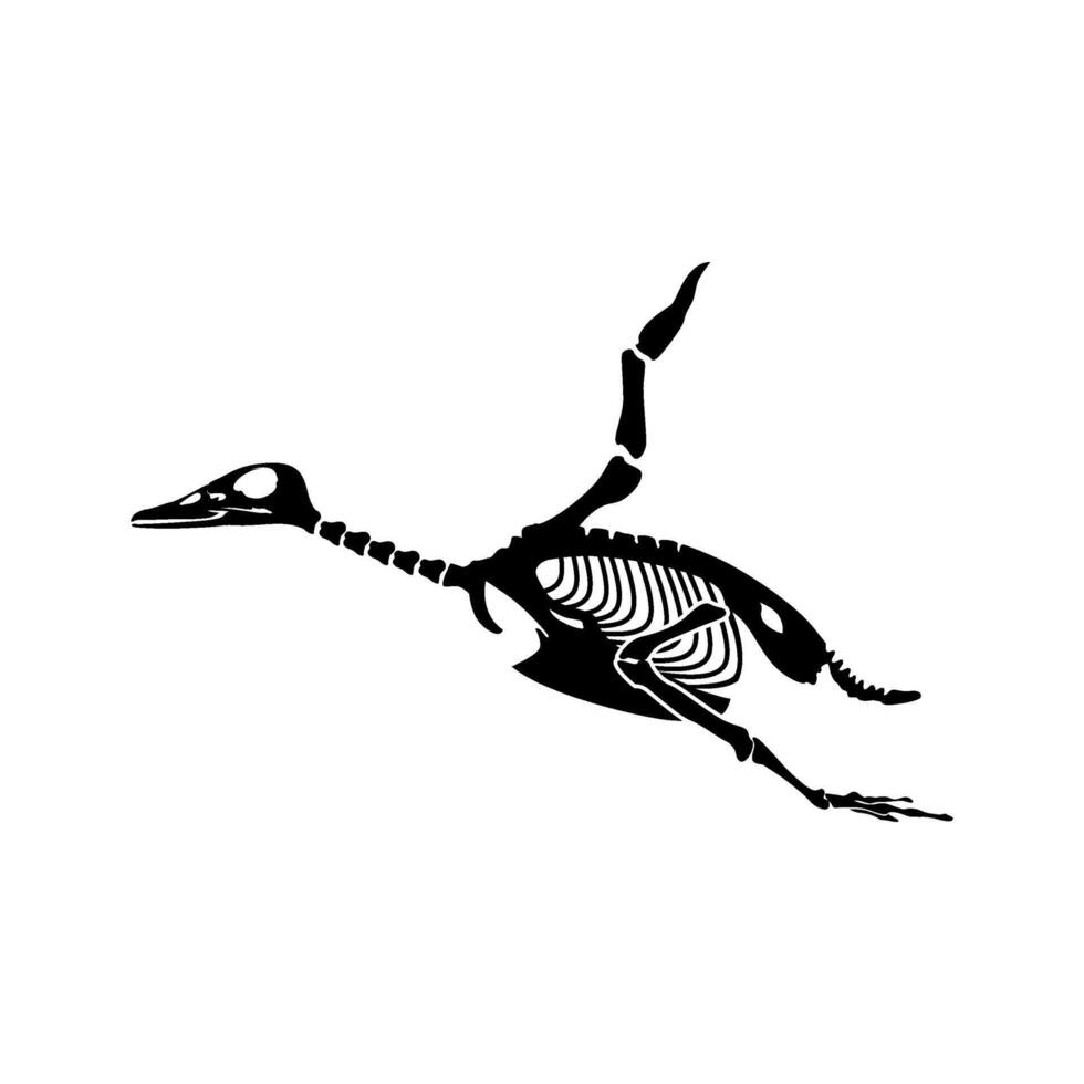 duck hunting skeleton illustration logo image t shirt vector