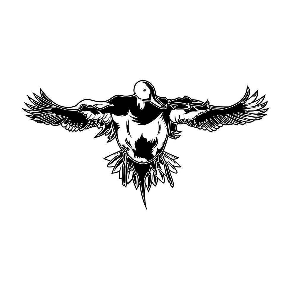 pintail duck flying facing forward hunting logo illustration vector