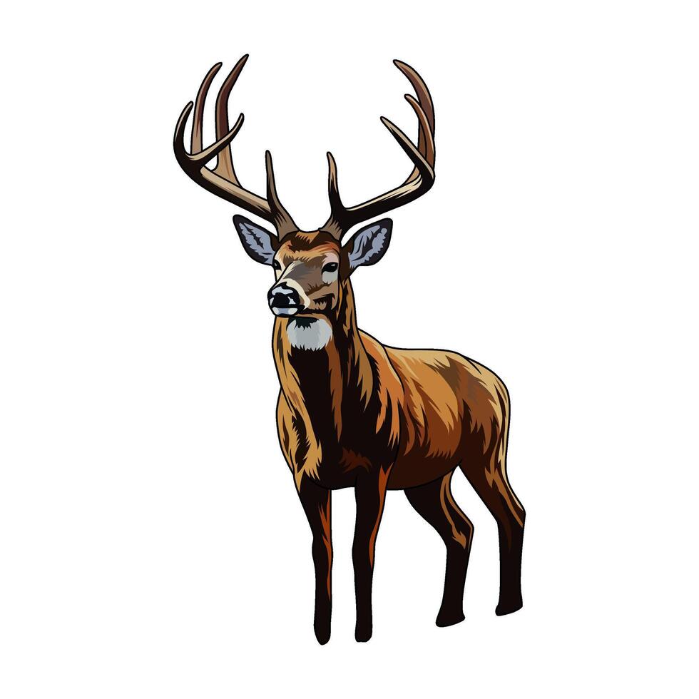 deer standing looking around full color hunting logo illustration vector