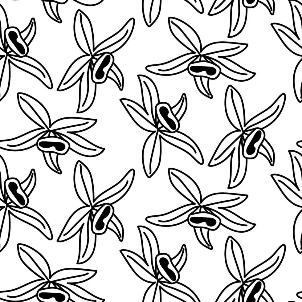 pattern is in the form of a silhouette of vanilla flowers. Sweet aroma, food. Hand-drawn. illustration of an orchid flower and pods on a white. spices, seasonings for sweet dishes. Chaotic vector