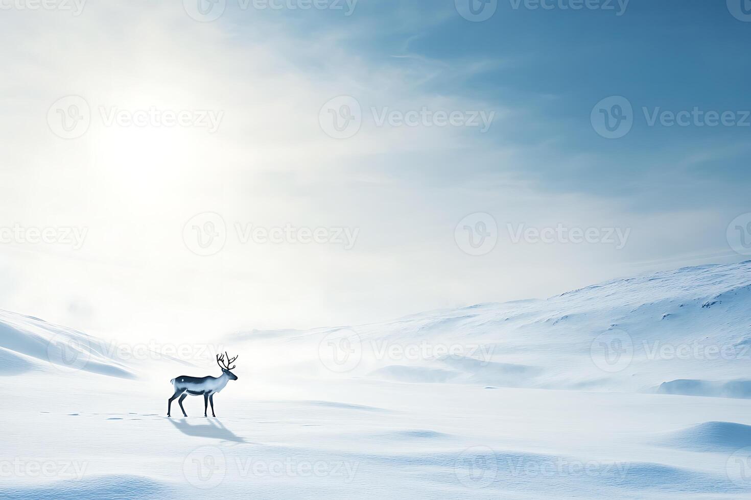 Snow-covered landscape with a distant reindeer, leaving room for text in the open space, photo