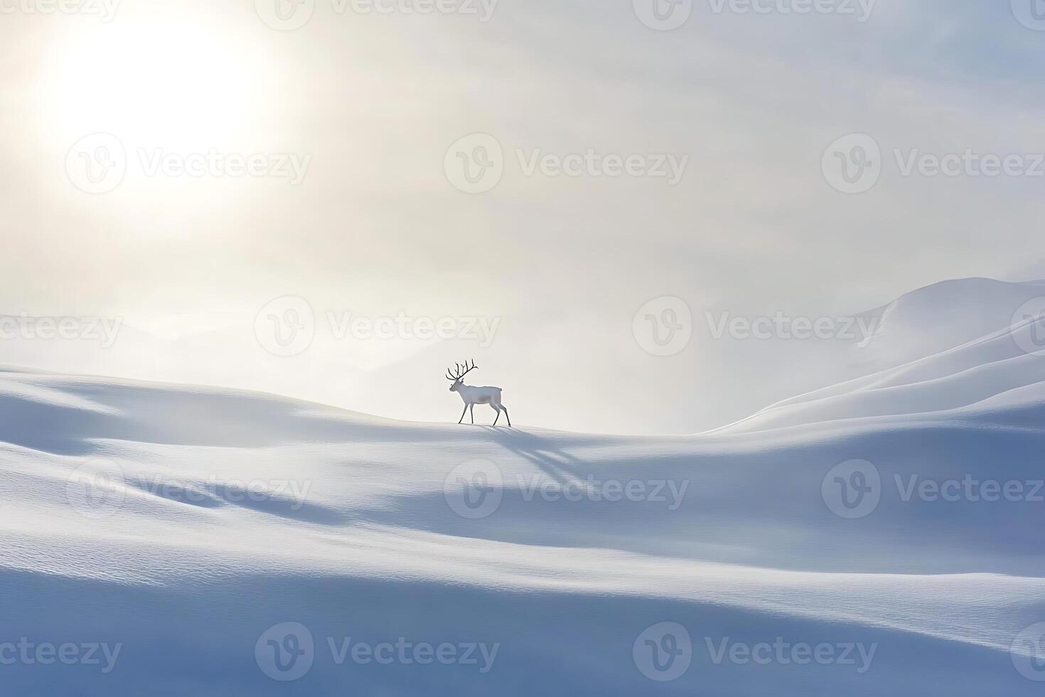 Snow-covered landscape with a distant reindeer, leaving room for text in the open space, photo