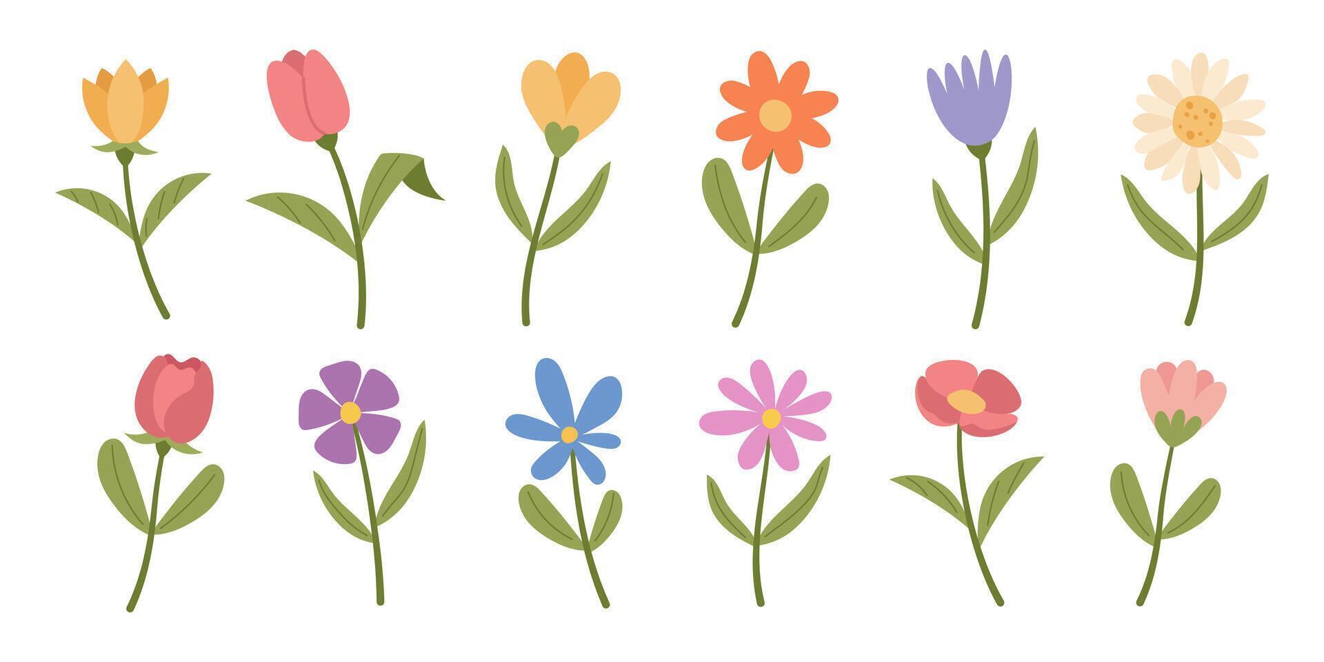 Set of spring flowers, on a white background vector