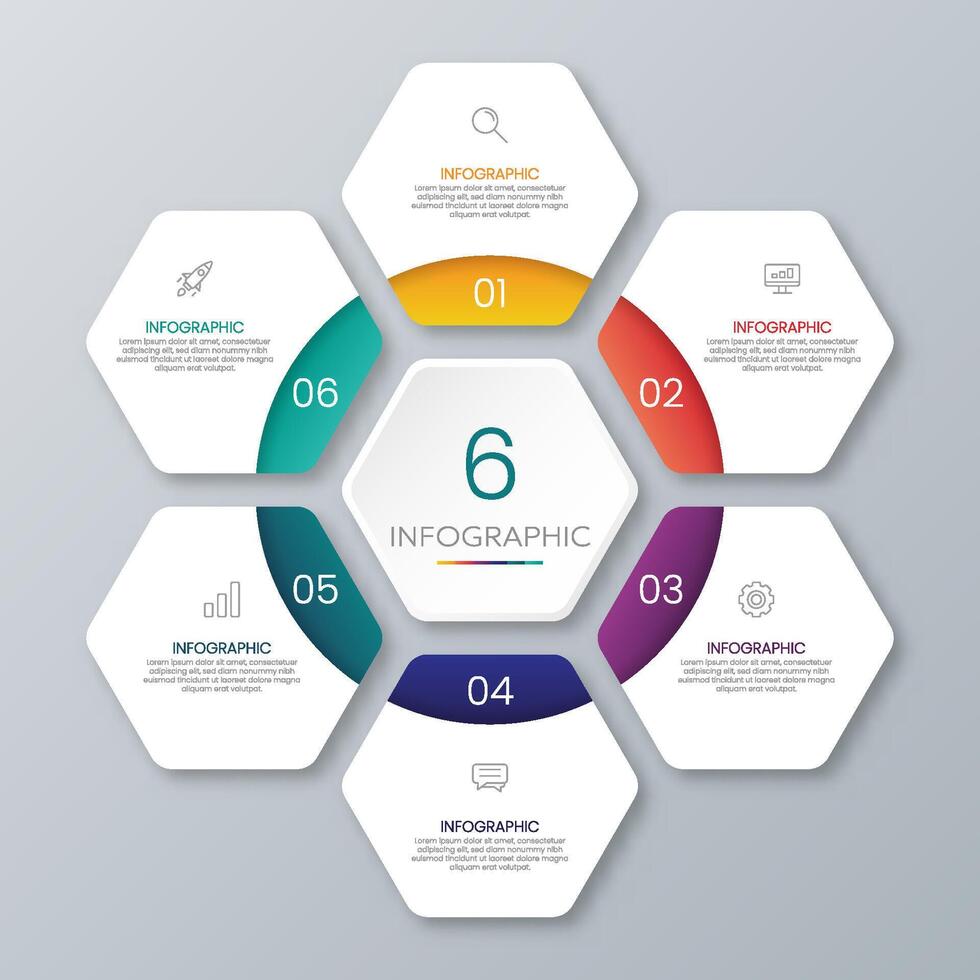 Hexagon infographic chart vector