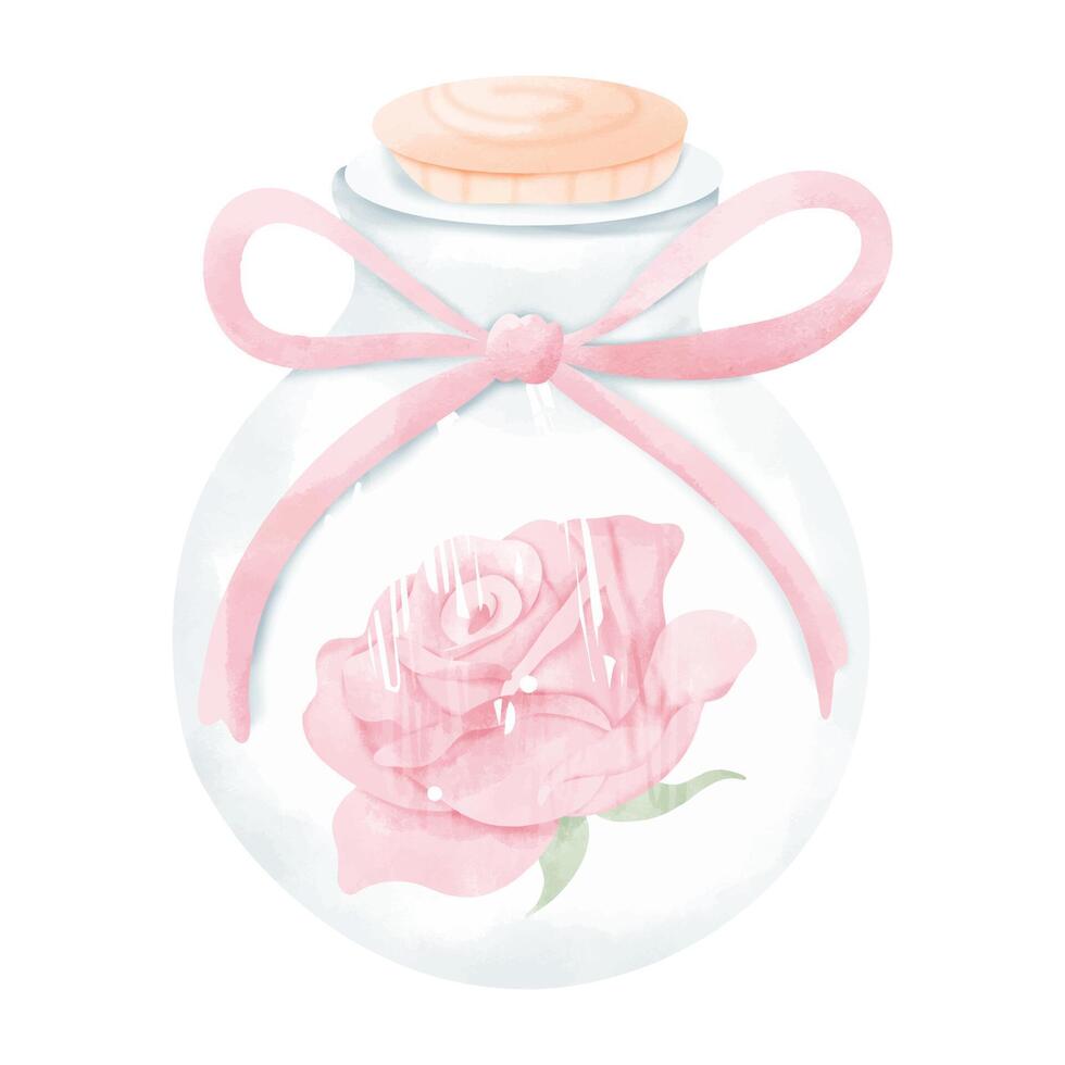 Watercolor Rose in Round Glass Jar with Pink Ribbon vector