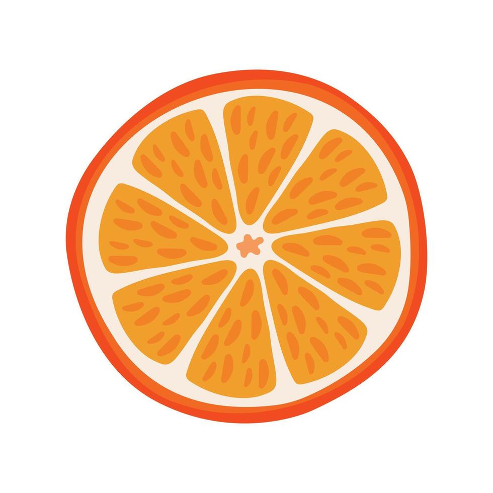 Orange slice of citrus. Abstract tangerine fruit circle vector