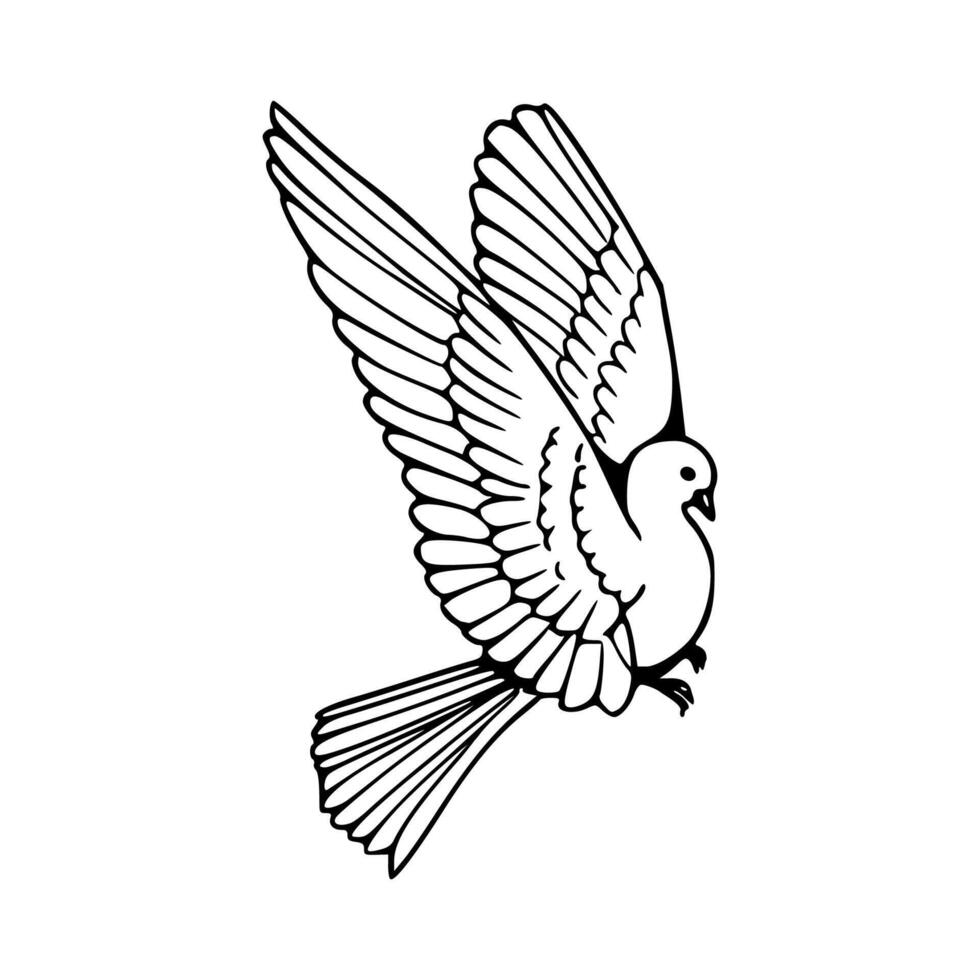 A black and white drawing of a dove flying vector