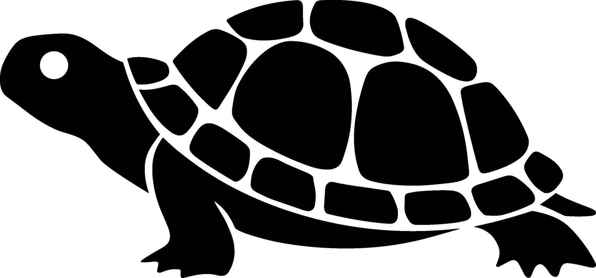 Terrapin in Aquatic Habitat vector
