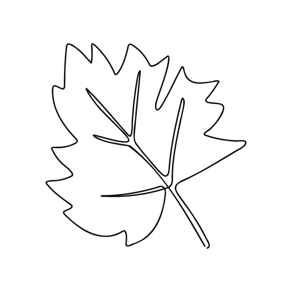 One Continuous Maple Leaf Illustration vector