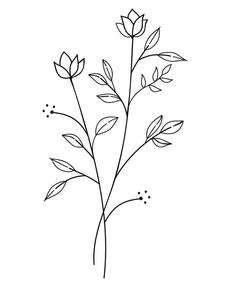 Hand-Drawn Twigs with Leaves in a Botanical Style. illustration vector