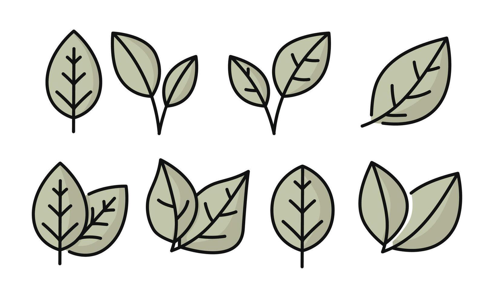 Green filled outline leaves and branches icon collection. illustration vector